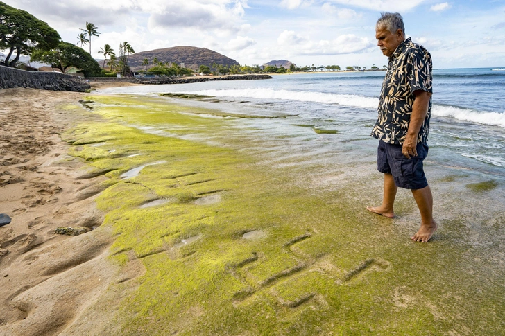 28 человечков на пляже: море вновь обнажило 600-летние гавайские петроглифы (фото) | Источник: AP Photo/Mengshin Lin