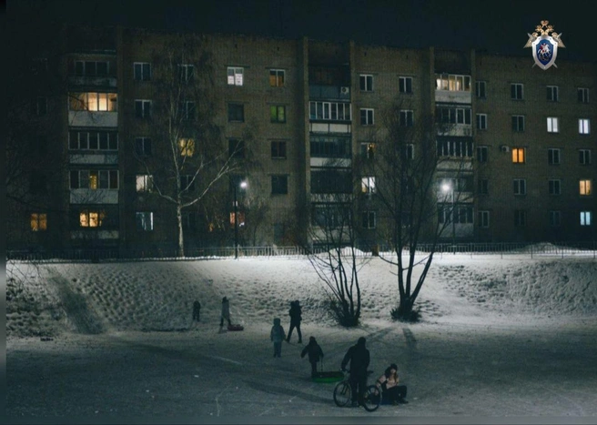 Горку во дворе на улице Громова залили на склоне | Источник: СКР по Челябинской области