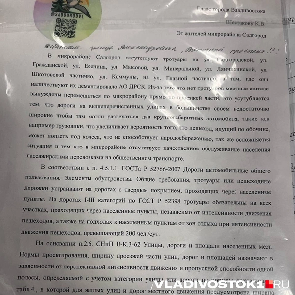 Источник: Алиса Князева / VLADIVOSTOK1.RU
