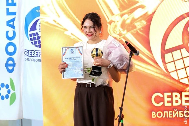 Источник: st.cherinfo.ru