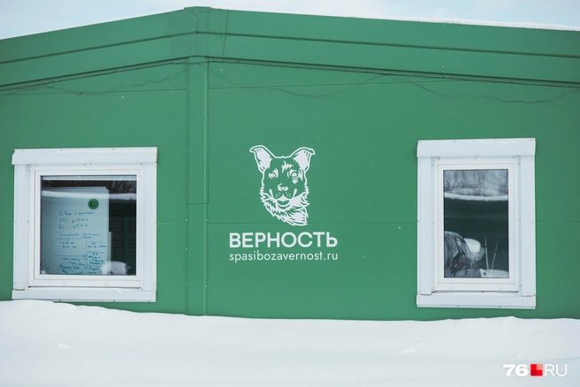 Кормлекс построен на деньги бизнесмена Алексея Репика | Источник: Артем Бауман / 76.RU