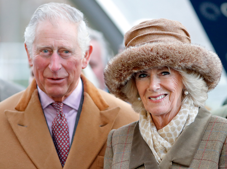 Принц Чарльз подлил масла в огонь: Камилла может стать королевой