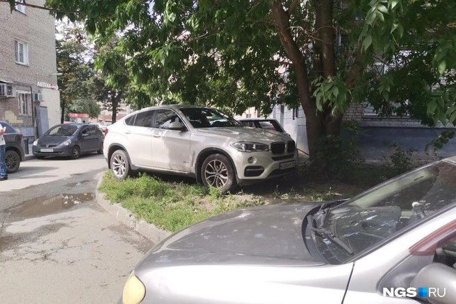 Вероятно, сибирячка решила спрятать автомобиль под деревом из-за возможного дождя | Источник: читательница НГС