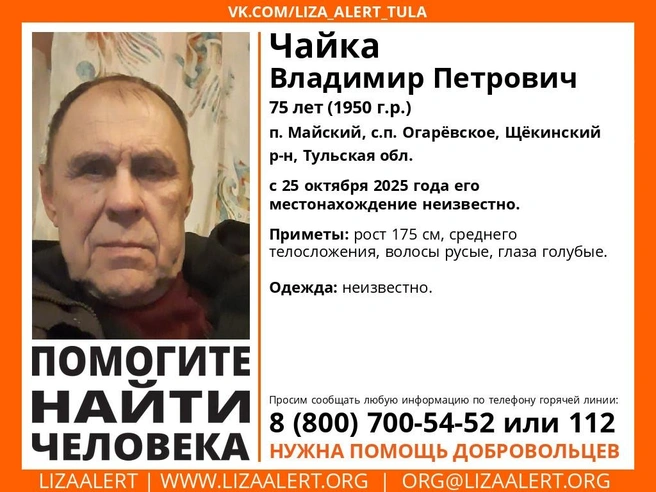 Ориентировка на пропавшего человека | Источник: Поисковый отряд «ЛизаАлерт» / ВКонтакте