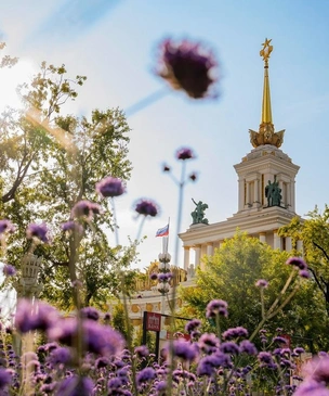 Розы, гортензии и вербены: какие растения цветут на ВДНХ этой осенью