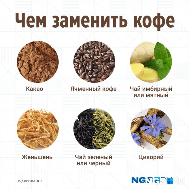 Ближе всего по вкусовым качествам к кофе подходит цикорий, а остальные напитки тоже могут взбодрить | Источник: Юрий Орлов