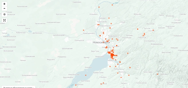 В Академгородке часто можно встретить подберезовики | Источник: inaturalist.org