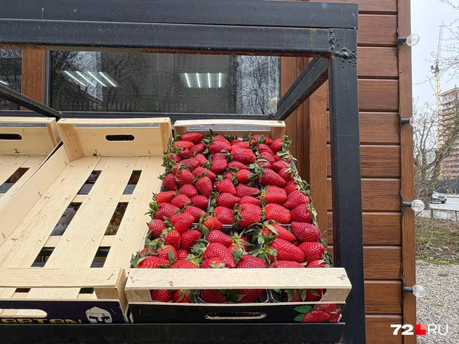 Можно заметить в ларьках множество пустых ящиков из-под ягод. Продавцы уверяют, тюменцы последние дни скупают клубнику. Самую дешевую такую ягоду мы нашли в ларьке в окрестностях улицы Серова. Там за килограмм просят 750 рублей | Источник: Мария Токмакова / 72.RU