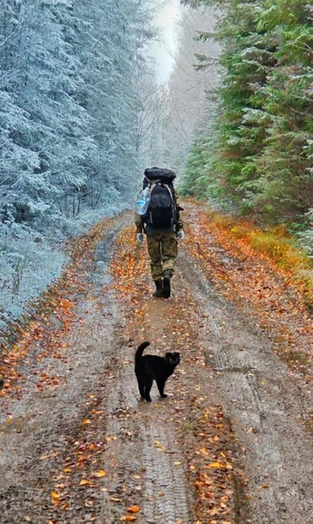 Кошечка&nbsp;— верный напарник Анатолия в походах | Источник: Анатолий Ероховец / telegram 