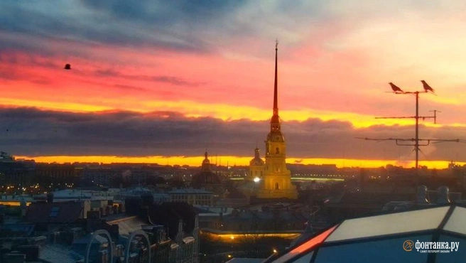 Предпраздничное утро удивило петербуржцев огнем в небе. Смотрите, если пропустили | Источник: видовые камеры «Фонтанки»