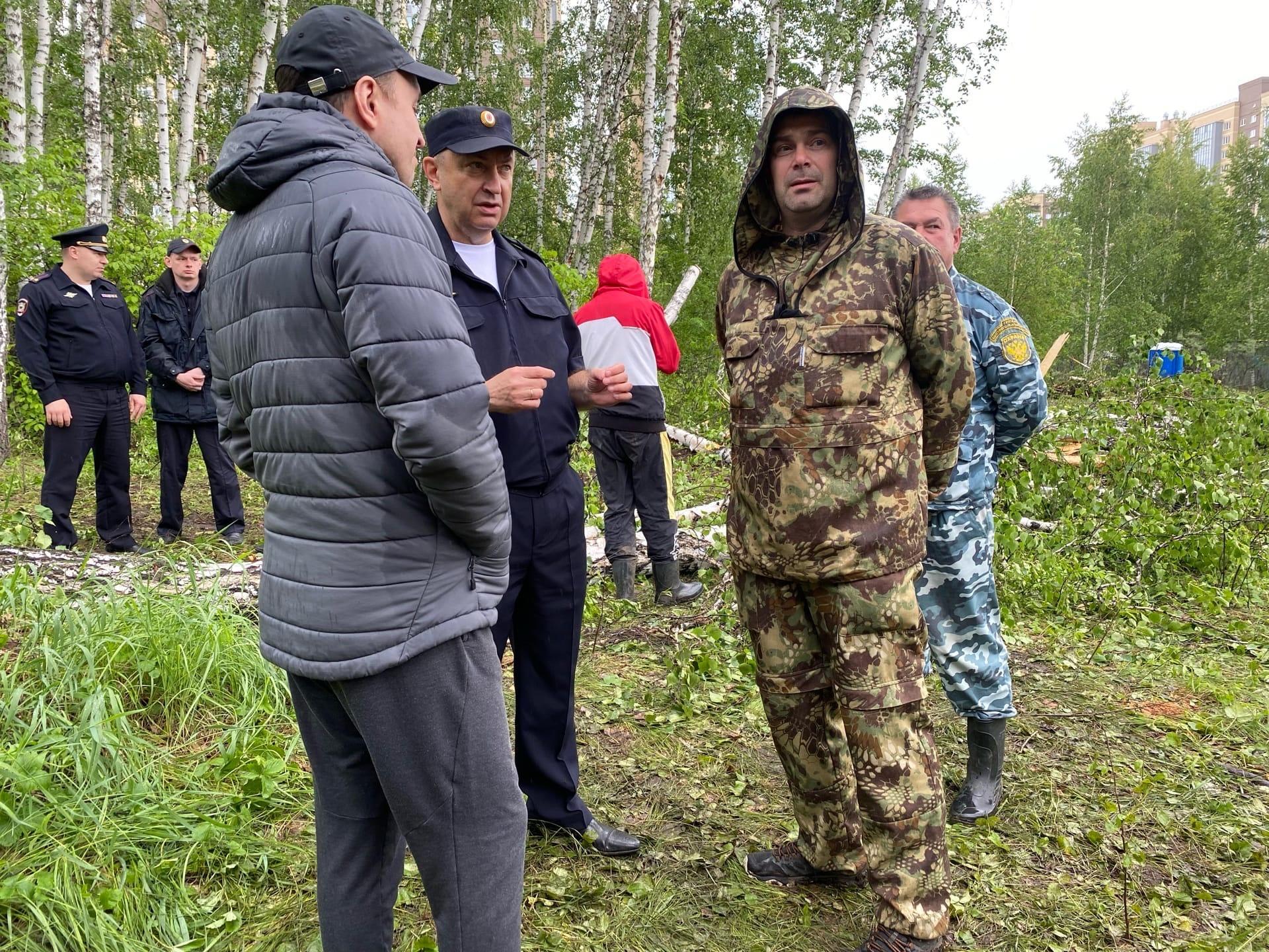 Вырубка деревьев на Тополинке: начальник УМВД Челябинска Сергей Миронов  встретился с защитниками леса — видео, 10 июня 2022 г - 10 июня 2022 - 74.ру