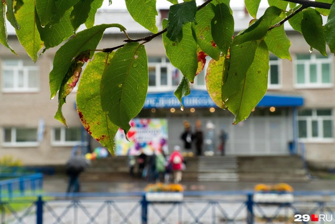 Первый день осени не будет холодным | Источник: Кристина Полевая / 29.RU