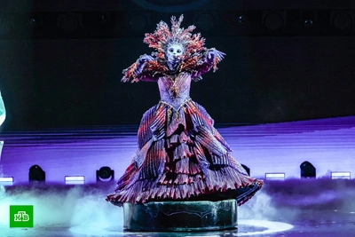 «Особо данных у нее нет»: Коралл в «Маске» оказался Катей Лель