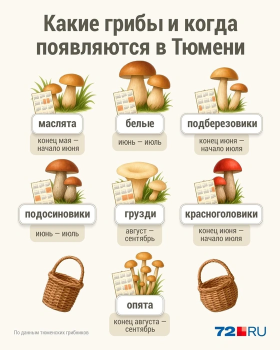 Источник: Дмитрий Гладышев / 72.RU