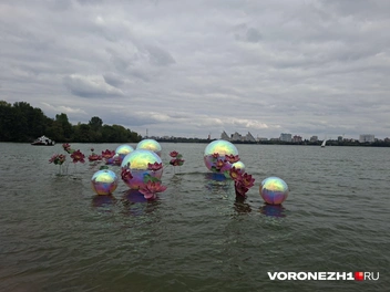 Источник: Алёна Воропаева / Voronezh1.ru