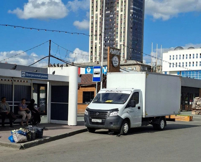 «Газель» заняла место общественного транспорта на остановке | Источник: читатель НГС