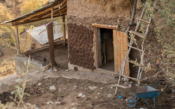 Почему в Узбекистане дома облеплены «коровяком»? Голландец узнал ответ и очень удивился смекалке местных жителей