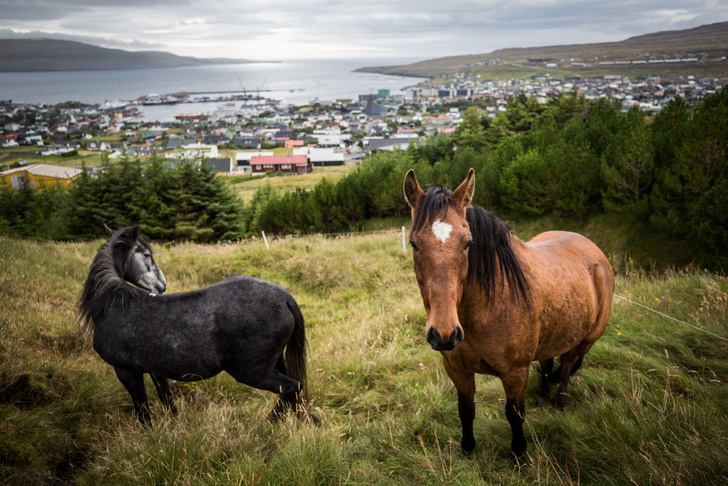 Один кадр: Фарерские острова