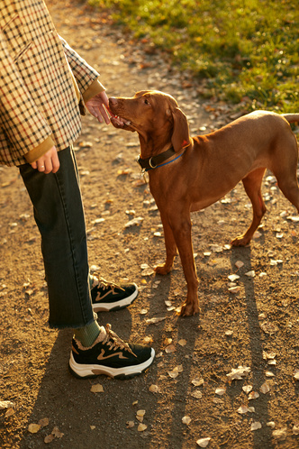 Как одеваться на прогулку с собакой: 6 модных советов, которые работают