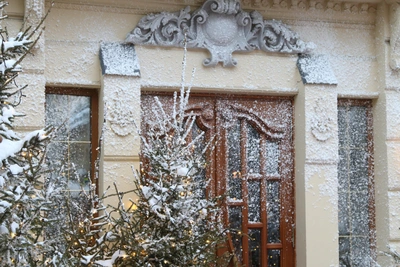 В Москве к Новому году наступят морозы и выпадет снег