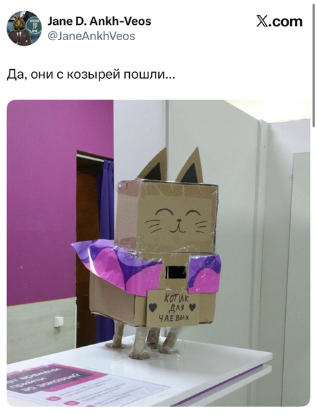 Источник: X (Twitter)