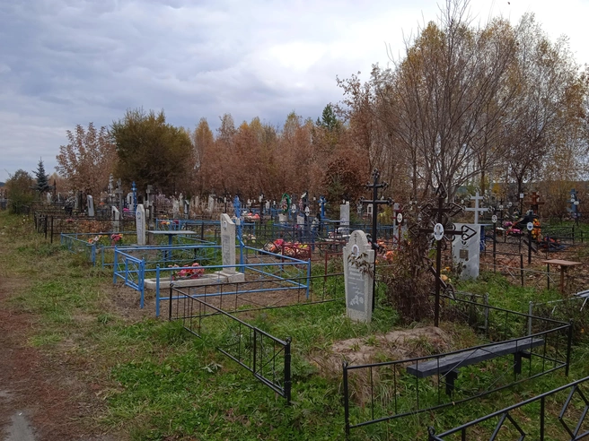 Кремация призвана разгрузить городские кладбища | Источник: Дмитрий Сильнов / 173.RU