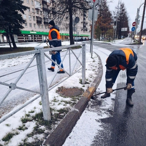 Источник: Комитет по благоустройству Петербурга