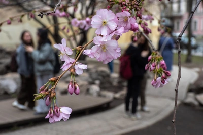 Погода в Петербурге на майские праздники: воздух прогреется до +20