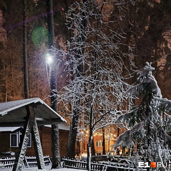 Источник: читательница E1.RU