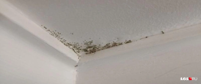 На потолке скапливается влага