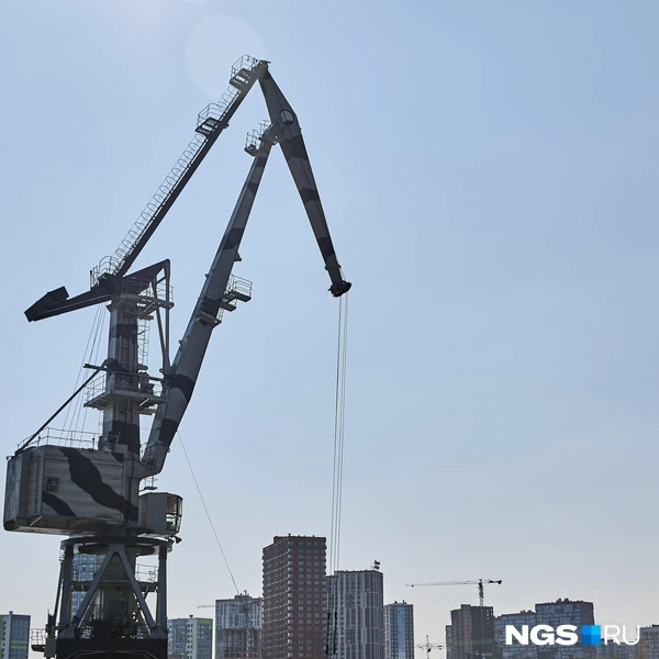 «Зебру» покрасили два года назад | Источник: Александр Ощепков / NGS.RU