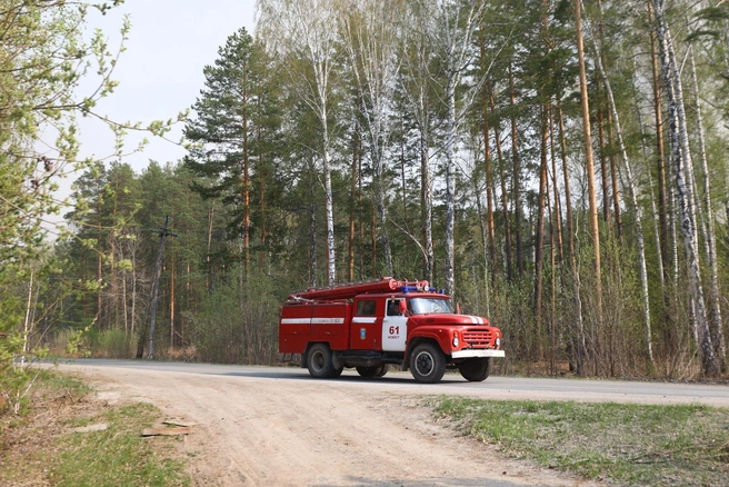 Всего с начала сезона зарегистрировали 26 лесных пожаров | Источник: Владислав Лоншаков / E1.RU
