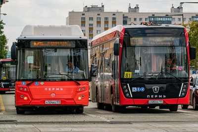 Пермь с 1 сентября усилит автобусное движение на 35 маршрутах