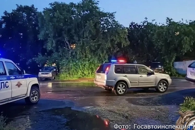 На Камчатке автомобиль сбил пешехода