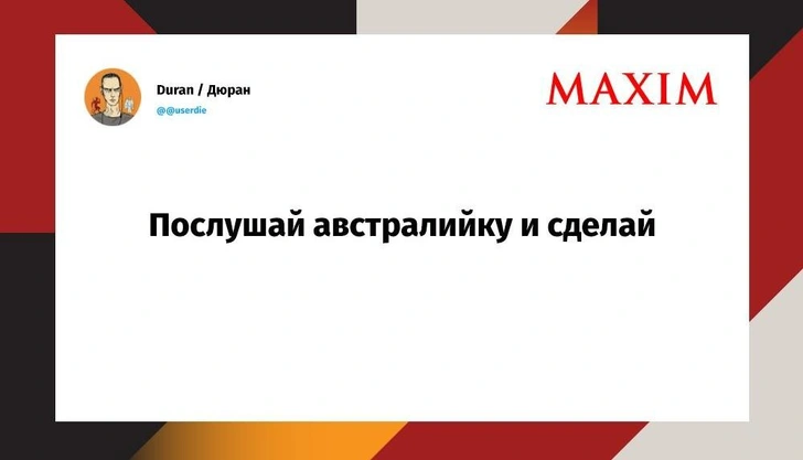 Лучшие шутки недели и котокопия | Источник: MAXIM / X (Twitter)