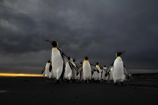 Источник: Helen Bass /&nbsp;Fine Art Photography Awards 2026
