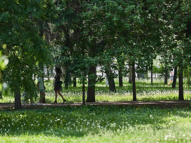 В парках и скверах люди стараются укрыться в тени | Источник: Александр Ощепков / NGS.RU