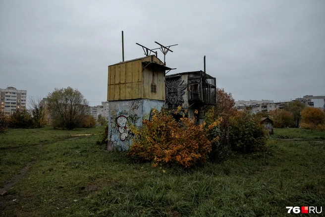 Вокруг птичьего вольера раскинулись кусты, окрашенные в осенние оттенки | Источник: Александр Куренной / 76.RU