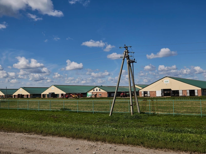 Возведение завода ведется в Маслянино | Источник: Александр Ощепков / NGS.RU