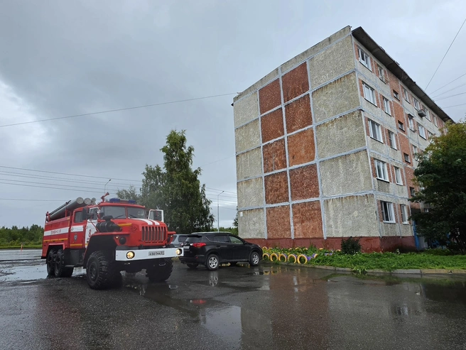 Заниматься муралом будут московские художники | Источник: Администрация города Апатиты / Vk.com