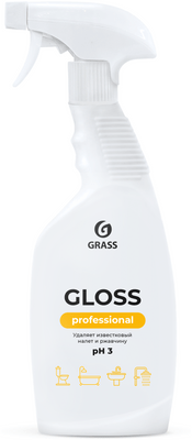 Чистящее средство Gloss Professional