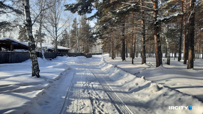 Дома очень незаметно переходят в лес | Источник: Виктор Лучкин / «ИрСити»