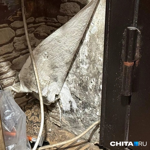 Обои скрывают черную плесень | Источник: Анастасия Филимонова / CHITA.RU
