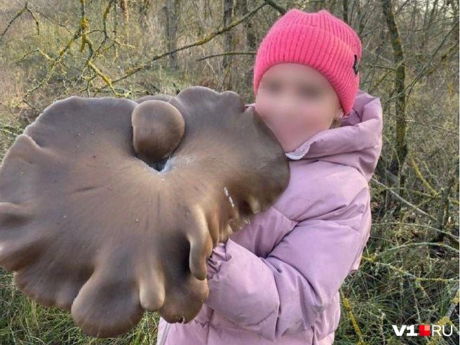 Неплохой такой размерчик! | Источник: читательница V1.RU