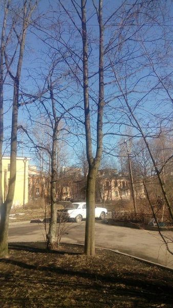 ответы властей | Источник: фото с сайта gorod.kis.gov.spb.ru