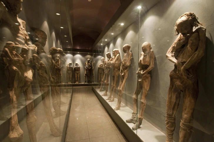 Источник: Getty Images