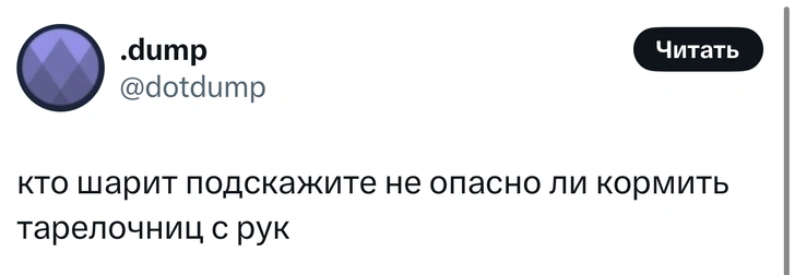 Источник: X (Twitter)