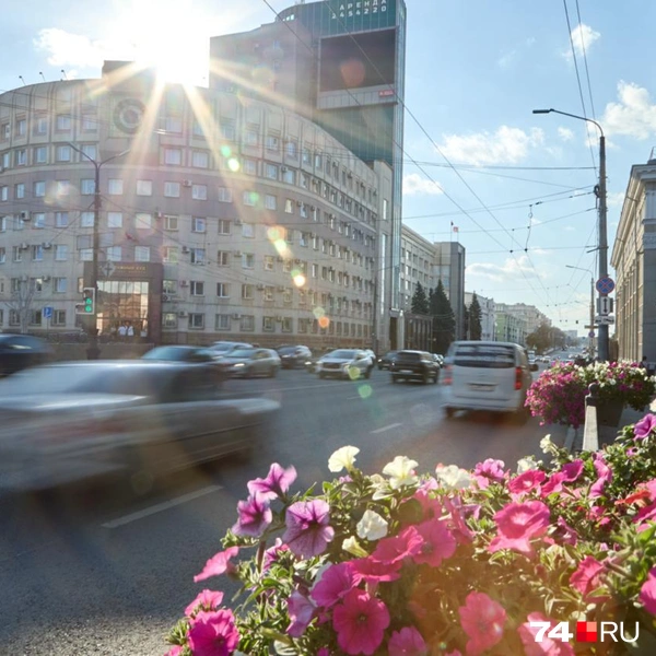 Город с каждым годом всё больше цветет и пахнет  | Источник: Оксана Зайцева / Личный архив