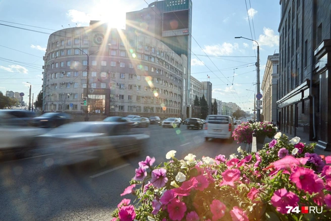 Город с каждым годом все больше цветет и пахнет  | Источник: предоставлено Оксаной Зайцевой