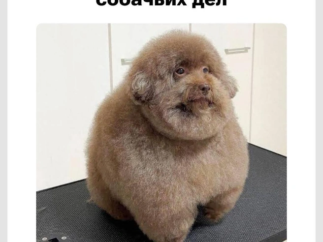 Очень серьёзный парень | Источник: Городские медиа